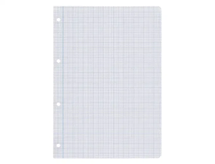 Liderpapel Recambio A4 100 Hojas 75g Milimetrado 2 mm Sin Margen 4 Taladros