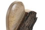 DKD Home Decor Set de Decoración de 3 Piezas Corazón en Madera de Mango Natural