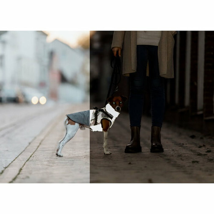 Abrigo para Perro Trixie Pontis Reflect Gris XS Abrigo para Perro Trixie Pontis Reflect Gris XS