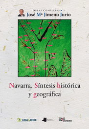 Navarra. Síntesis histórica y geográfica, Jose Maria Jimeno Jurio - Pamiela Editorial