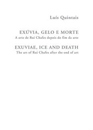 DOCUMENTA, EXÚVIA, GELO E MORTE - A ARTE DE RUI CHAFES DEPOIS DO FIM DA ARTE, Luís Quintais