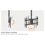 EQUIP Soporte de Techo Dual para Pantallas de 32-60 pulgadas