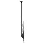 EQUIP Soporte de Techo Dual para Pantallas de 32-60 pulgadas