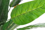 DKD Home Decor Planta 100x145x100 cm
