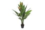 DKD Home Decor Planta 100x145x100 cm