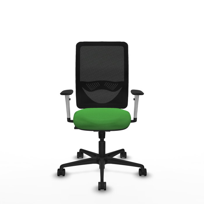 PIQUERAS Y CRESPO Silla de oficina Zulema con mecanismo Sincro, Verde y Negro PIQUERAS Y CRESPO Silla de oficina Zulema con mecanismo Sincro, Verde y Negro