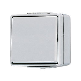Jung Wippwechselschalter 606 W AP/WD