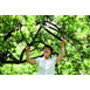 Fiskars PowerGear II L77 (1000583) - Tijeras de podar de yunque grandes