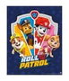 Pyramid International Mini Póster PAW Patrol Diseño 2 40x50 cm