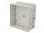 OBO Bettermann OBO A 14 Caja de derivación de cables 100x100x38 PE gris claro RAL7035