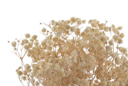 DKD Home Decor Ramo de Flor Preservada Gysophila Bola Blanco 50gr