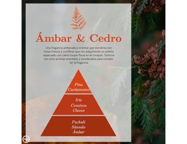 Ambar Zen Esencia Spray Hogar Ámbar y Cedro Ambar Zen Esencia Spray Hogar Ámbar y Cedro