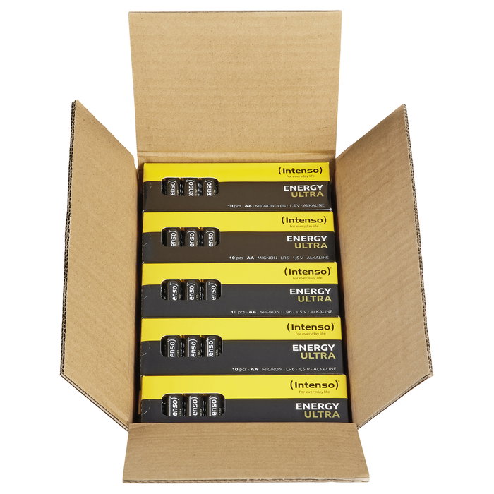 Intenso Pack de 100 pilas alcalinas Energy Ultra AA LR6