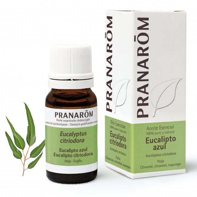 PRANAROM Aceite esencial Eucalipto azul 10 ml