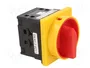 SPAMEL Interruptor de leva 40A 0-1 IP65