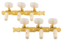 Clavijero Admira Modelo 019C