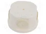 OBO BETTERMANN T 25 RW caja de conexiones blanca