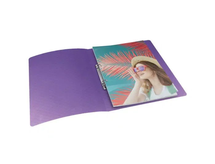 Esselte Colour Breeze Carpeta de 2 anillas redondas 25 mm DIN A4 colores surtidos Esselte Colour Breeze Carpeta de 2 anillas redondas 25 mm DIN A4 colores surtidos