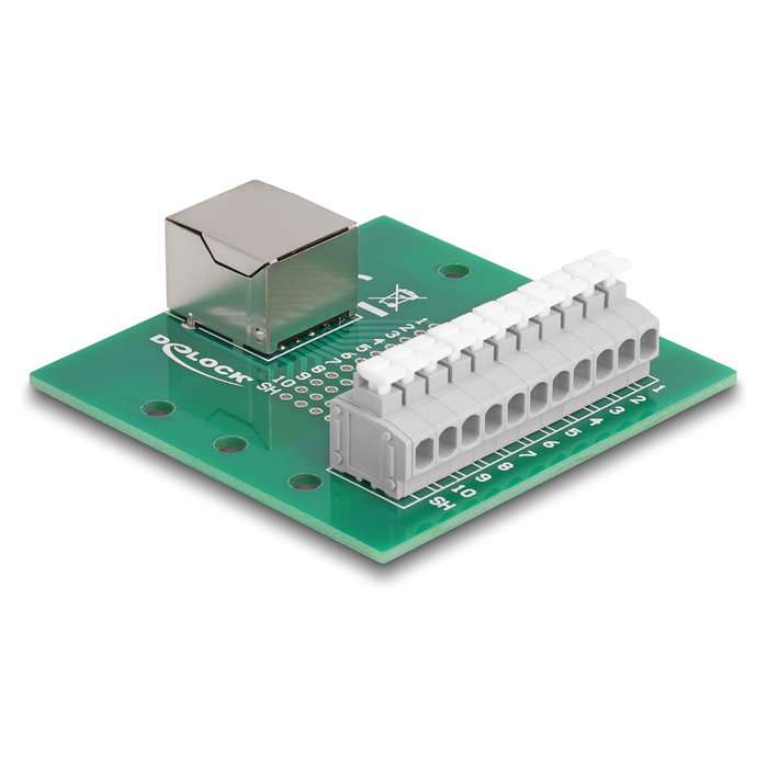 DeLOCK 67012 Adaptador RJ50 hembra a bloque de terminales con pulsador para carril DIN
