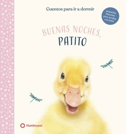 FLAMBOYANT Buenas noches, Patito