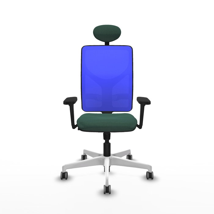 PIQUERAS Y CRESPO Silla de oficina Motilla con mecanismo Sincro, Verde botella y Azul PIQUERAS Y CRESPO Silla de oficina Motilla con mecanismo Sincro, Verde botella y Azul