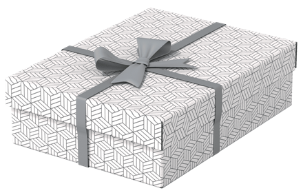 Esselte 628284 Pack 3 Cajas de Almacenamiento Blancas, 360x265x100mm