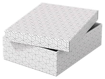 Esselte 628284 Pack 3 Cajas de Almacenamiento Blancas, 360x265x100mm
