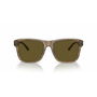 Gafas de Sol Hombre Emporio Armani EA 4208 Multicolor