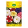Agreen 300678bolsh Semillas de Petunia Compacta Variada Anual en Sobre - 30 cm de Altura para Macizos, Borduras, Macetas y Jardineras