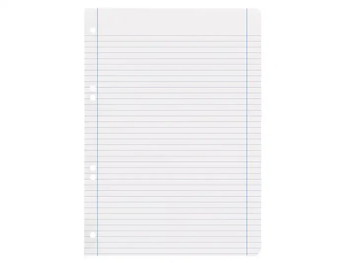 Liderpapel Recambio A5 100 Hojas 100gr Horizontal Doble Margen 6 Taladros