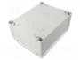 FIBOX TEMPO Carcasa Universal Gris IP65