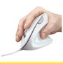 Trust Verto Ratón Ergonómico Vertical Blanco para Diestro, 1600 DPI, 6 Botones, Óptico, USB Plug and Play, Compatible con Windows/Mac/ChromeOS