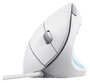 Trust Verto Ratón Ergonómico Vertical Inalámbrico Blanco