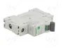 SCHNEIDER ELECTRIC Easy9 Pro MCB 32A 1 Polo 6kA