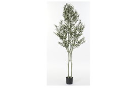 DKD Home Decor Árbol Olivo Verde 80x80x180 cm