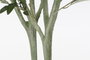 DKD Home Decor Árbol Olivo Verde 80x80x180 cm