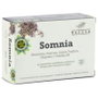 Betula Somnia 30 cápsulas