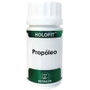 EQUISALUD Holofit Propóleo 60 cápsulas