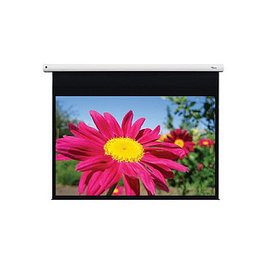 Optoma Pantalla de Proyección Motorizada DE-1123EGA 123 Pulgadas (3.12 m) 16:10, Blanco, para Montaje en Techo/Pared