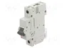 ETI POLAM Interruptor magnetotérmico ETIMAT P10 1P B10 10A 10kA