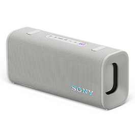Sony XB100