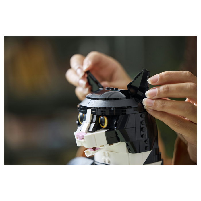 LEGO Ideas Gato Bicolor 21349