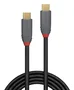 Lindy Cable USB C USB 3.2 Gen 2 de 5 m con 100 W de carga, Negro
