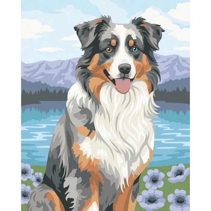Ravensburger CreArt - Juego para Pintar por Números Adulto, Pastor Australiano, Lienzo 24x30 cm, Set Creativo (12023114)