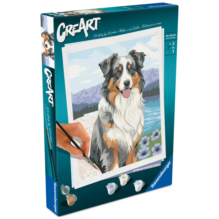 Ravensburger CreArt - Juego para Pintar por Números Adulto, Pastor Australiano, Lienzo 24x30 cm, Set Creativo (12023114)