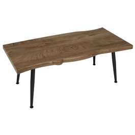 Home Deco Factory Mesa de Centro Forest 100x49 cm