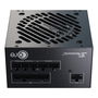 Seasonic SRP-CGX751-A5A32SF Core GX-750 750W Fuente de Alimentación PC ATX Negro