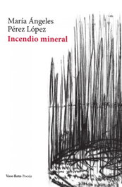 VASO ROTO, Incendio mineral, María Ángeles Pérez López