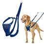 Arnés para Perro Company of Animals COBALT Azul 12