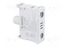 LOVATO ELECTRIC Elemento Iluminador Platinum Blanco 22mm LED